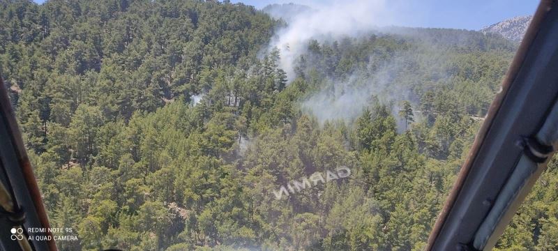 Manavgat’ta çıkan yangında 2 dönümlük kızılçam ormanı zarar gördü
