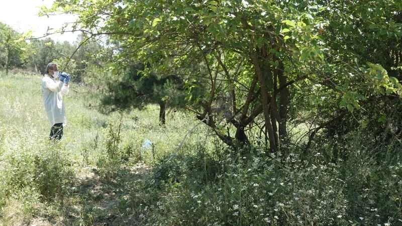 Bursa’da ağaç altına atılmış bebek cesedi bulundu
