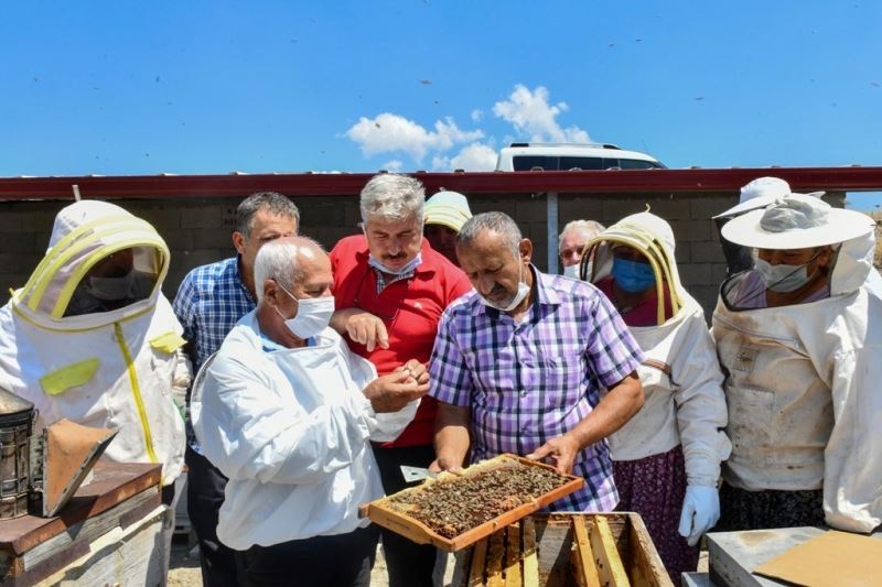 Türkiye Arı Yetiştiricileri Merkez Birliği Başkanı Şahin; “Eğitim olmazsa olmazımızdır”
