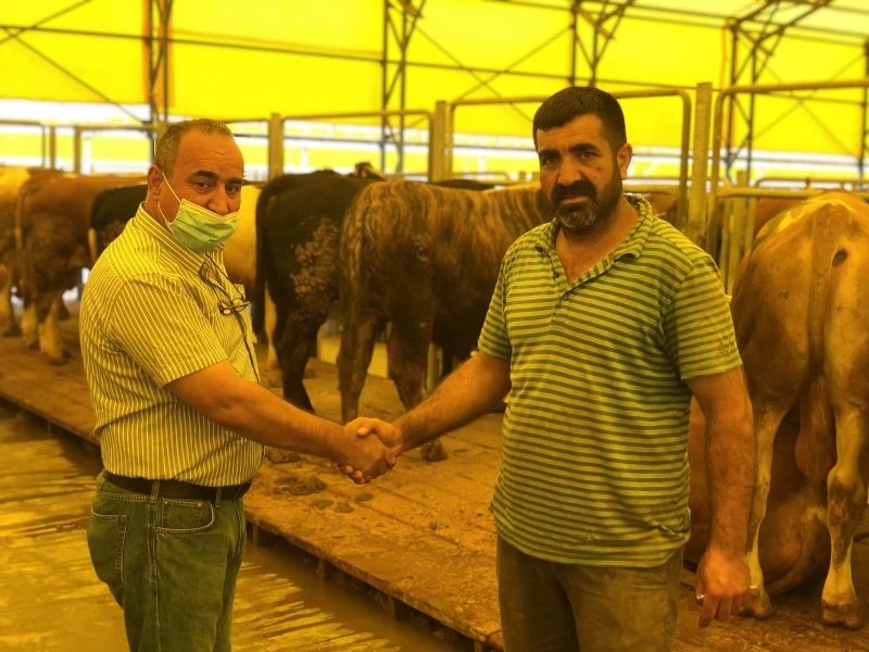 Kurban pazarlarında satışlar başladı
