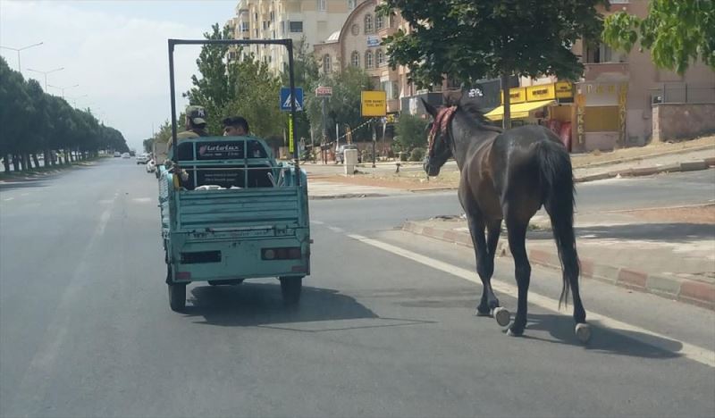 Elektrikli motosiklete atı bağlayıp çeken sürücü ve atın sahibine para cezası