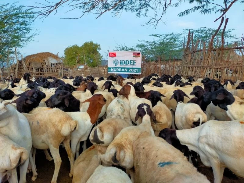 “Dünyadaki mazlum kardeşlerimizi hatırlamamız gerekiyor”
