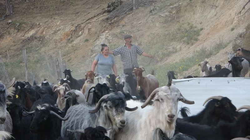 Köyün Azeri hamarat gelini
