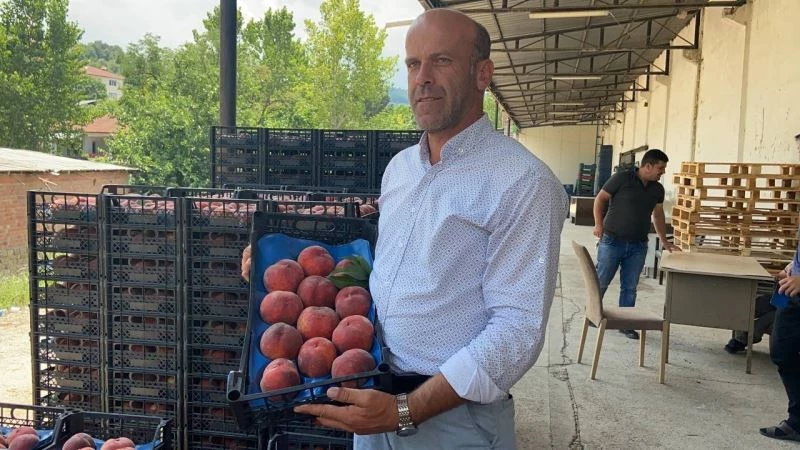 Şeftalide hasat başladı, rekoltede yüzde 50 düşüş var
