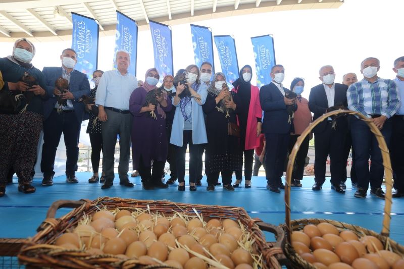 Gaziantep’te, bölgeye uyumlu 70 bin tavuk dağıtıldı
