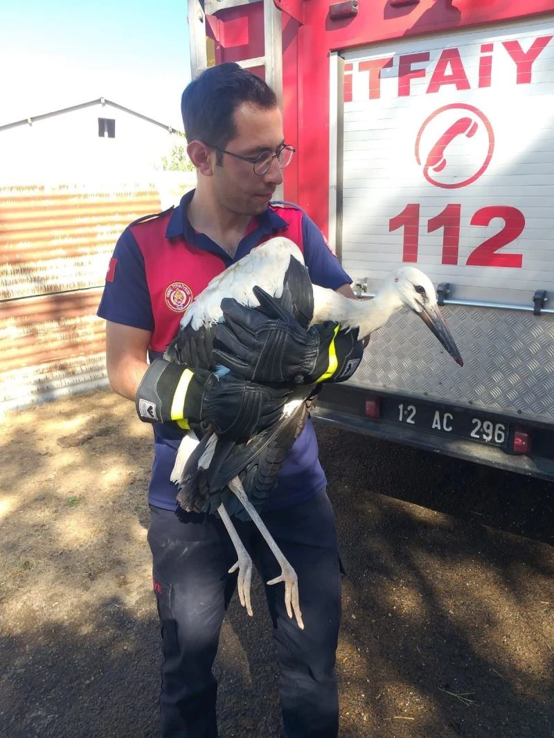 Yuvadan düşen leyleğin imdadına itfaiye yetişti
