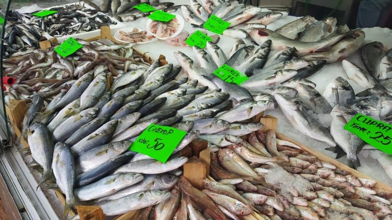 Tezgahtaki en pahalı balık Çinekop oldu
