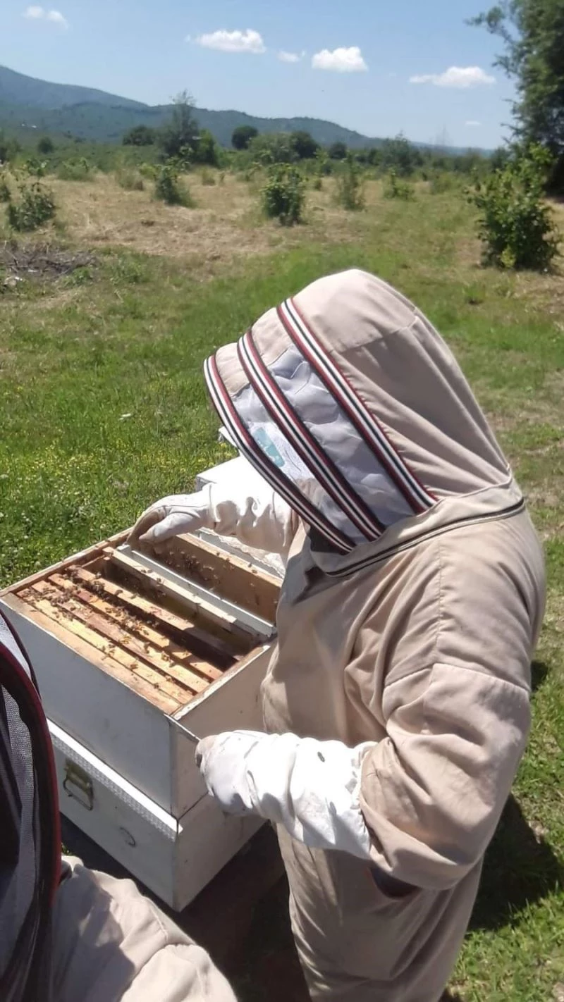 Sel felaketi arıcıları da vurdu
