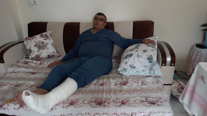 İhmal, piknikçi baba ve kızını hastanelik etti
