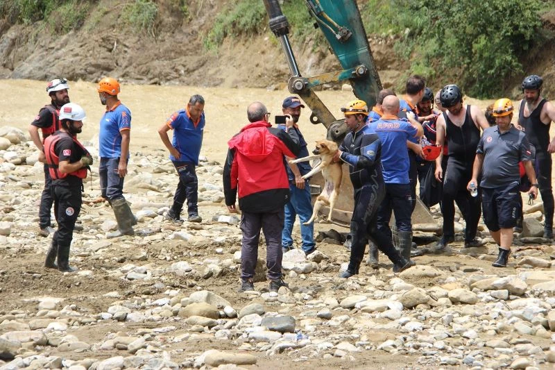 Mahsur kalan köpek kepçeyle kurtarıldı
