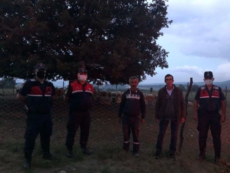 Çalındığı dediği 140 koyunu, ağılın 300 metre ilerisinde bulundu
