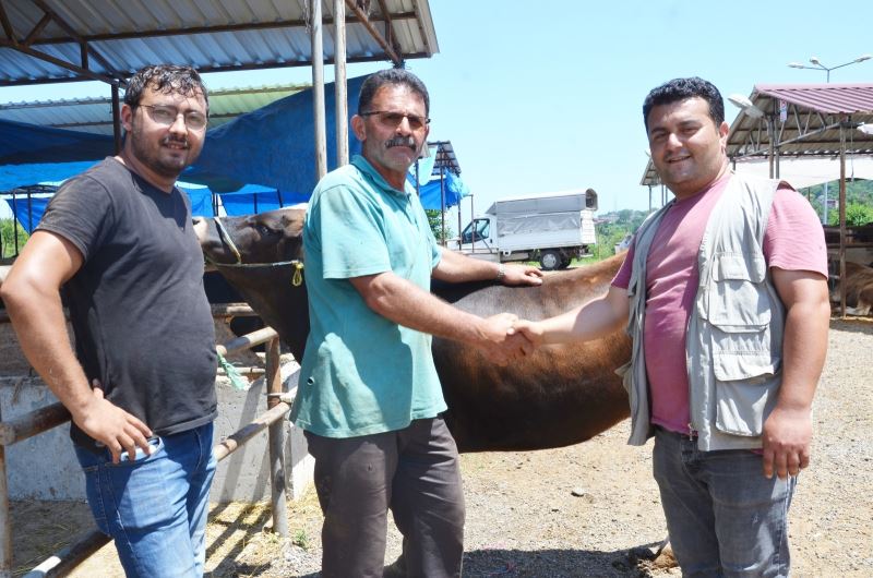 Ordu’da kurban pazarında haraketlilik arttı
