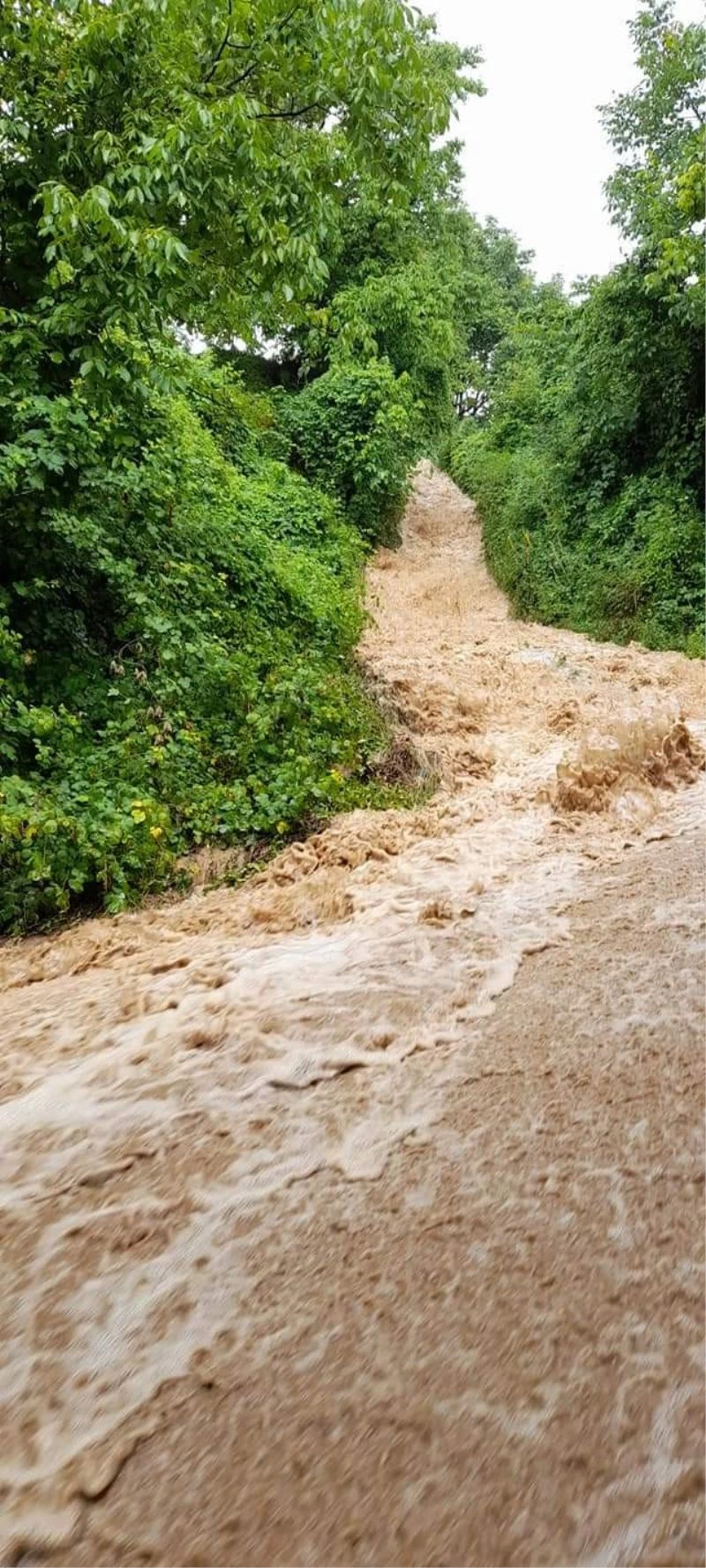 Orhaneli Başköy’ü sel bastı
