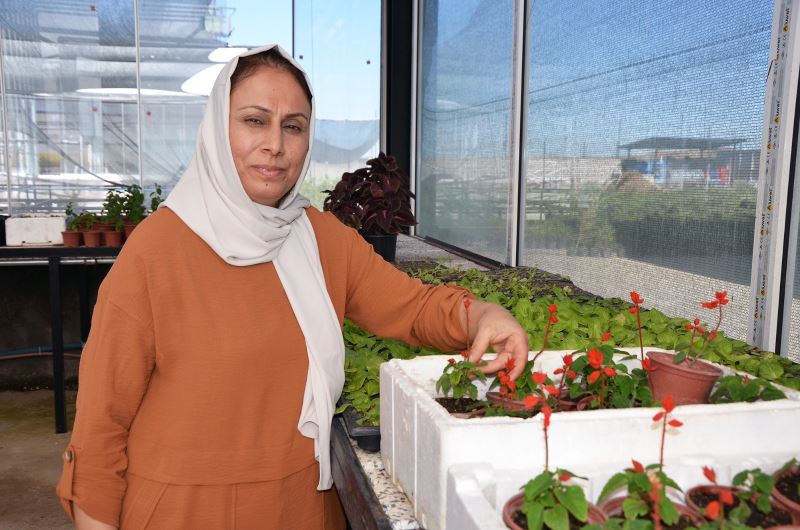 Diyarbakırlı ev hanımı Uygun, Güneydoğu’nun ilk çiçek serasını kurdu
