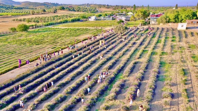 Didim Belediyesi’nin lavanta bahçesi doğal stüdyoya dönüştü
