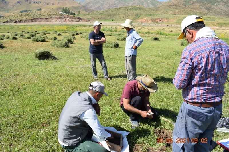 HRÜ’nün pamuk verimi ile ilgili projesi TÜBİTAK tarafından kabul edildi
