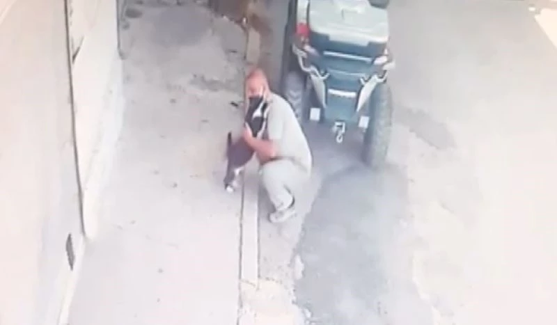 Kedi her sabah sahibini kapıda karşılayarak kucaklıyor
