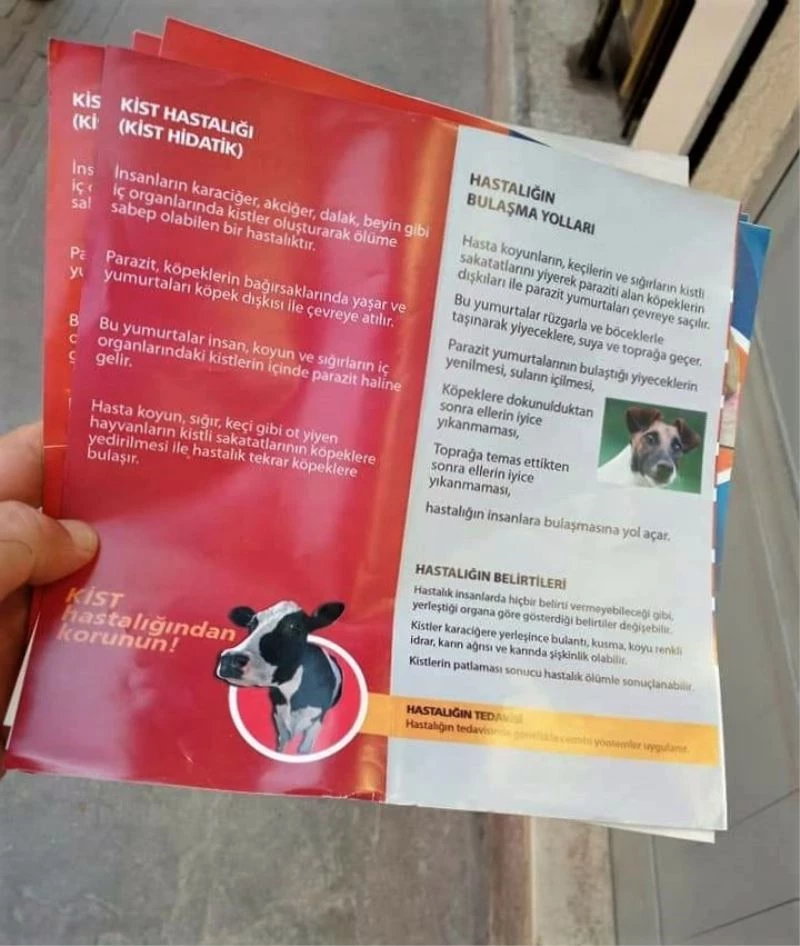 Kurban Bayramı öncesi vatandaşlar kist hastalığına karşı bilgilendiriliyor
