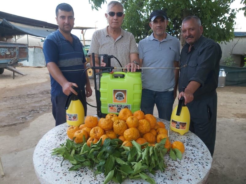 Kimsenin kıymetini bilmediği turunç bitkisinden dezenfektan üretildi
