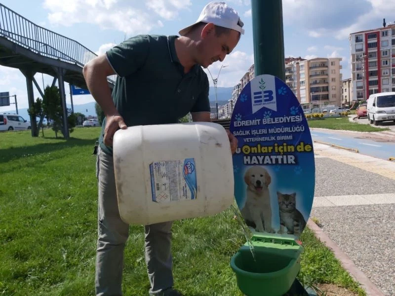 Sokaktaki canlar susuz kalmayacak
