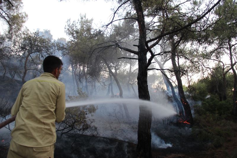 Foça’daki yangın saatler sonra kontrol altına alındı
