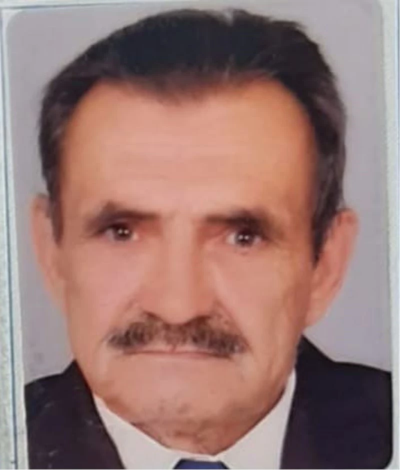 Dut dökmek isterken ağaçtan düşen kişi öldü
