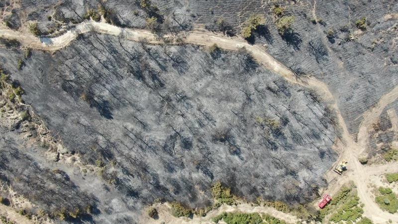 Foça yangınında hasarın boyutları havadan görüntülendi
