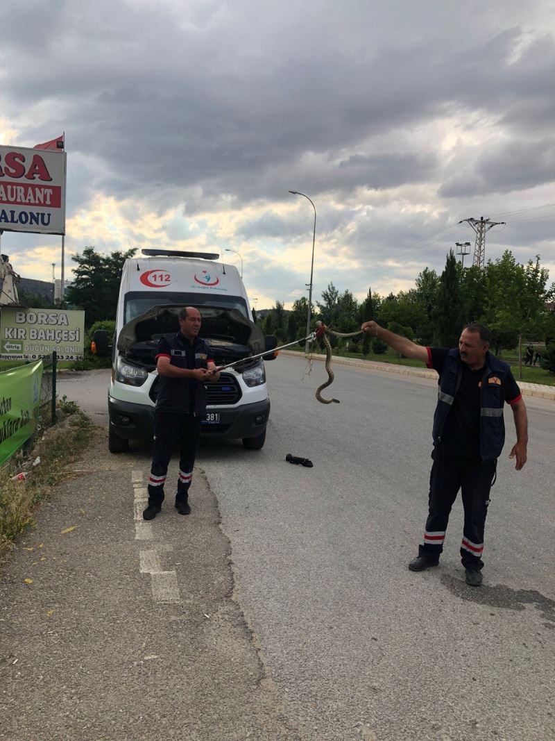 Ambulanstan çıkanı görenler gözlerine inanamadı
