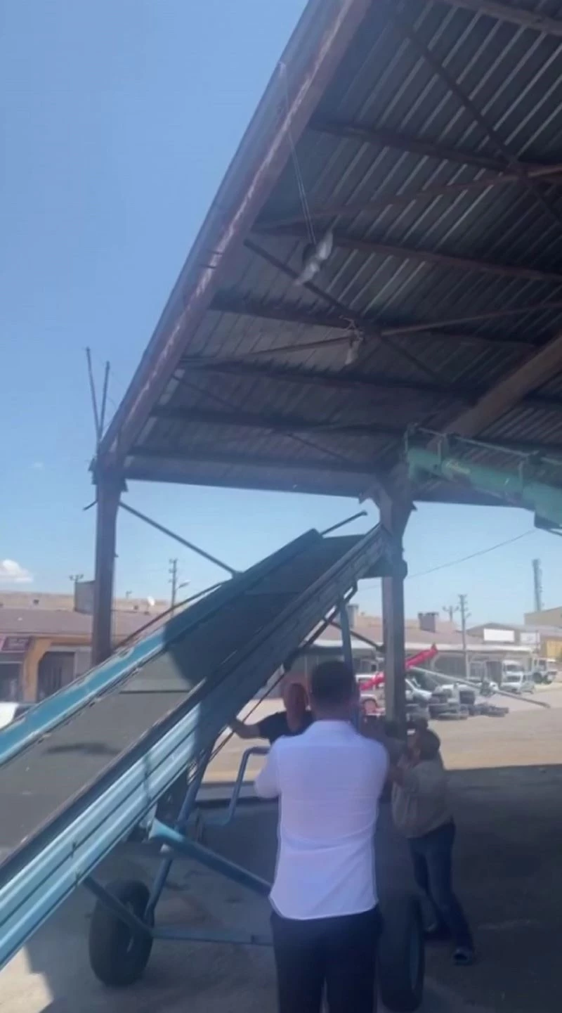 İpte asılı kalan güvercini esnaf kurtardı
