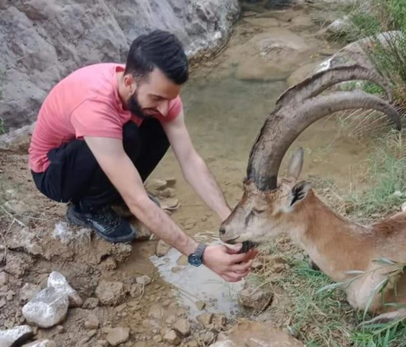 Hasta yaban keçisini 3 kilometre sırtlarında taşıdılar
