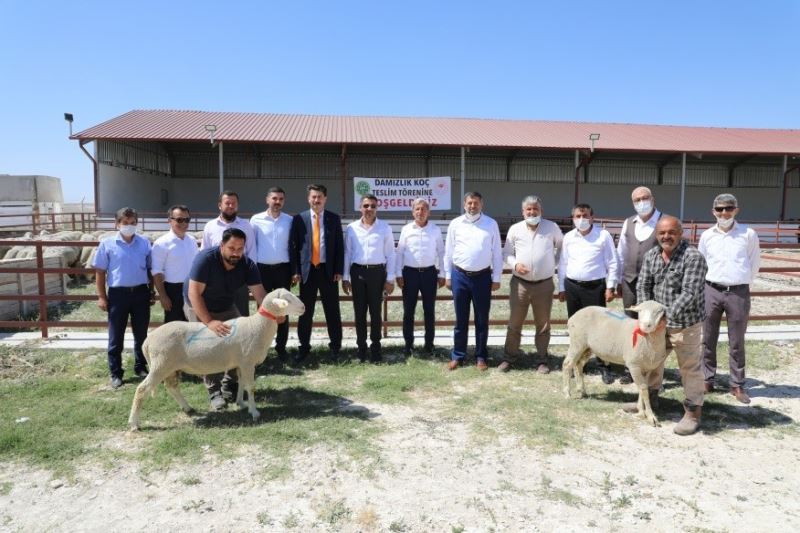 Kırsal Gençlik Değişim Festivali Sivrihisar’da yapıldı
