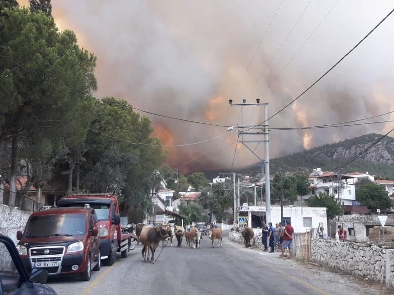 Milas’ta alevler yerleşim bölgesine ulaştı, Gökbel köyü boşaltıldı
