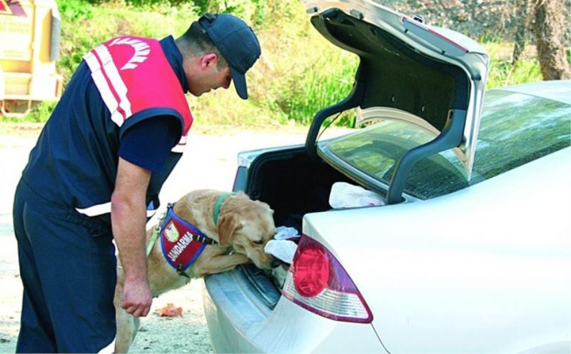 JASAT suç ve suçlularla mücadelesini hız kesmeden sürdürüyor
