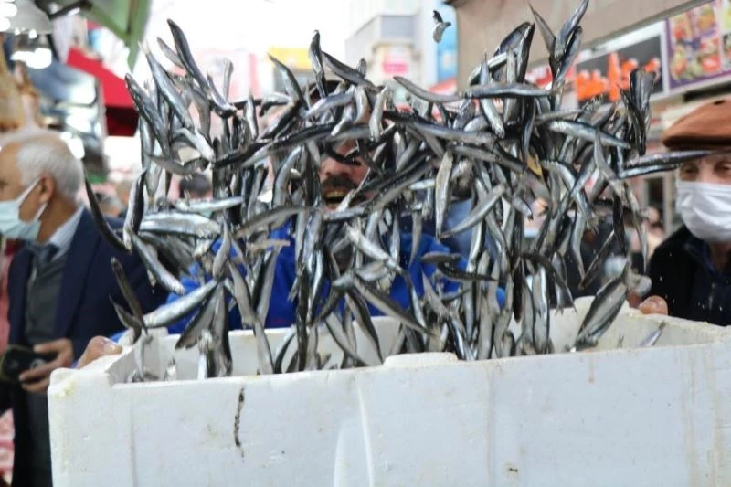 Bu sene palamut yerine hamsinin senesi olacak
