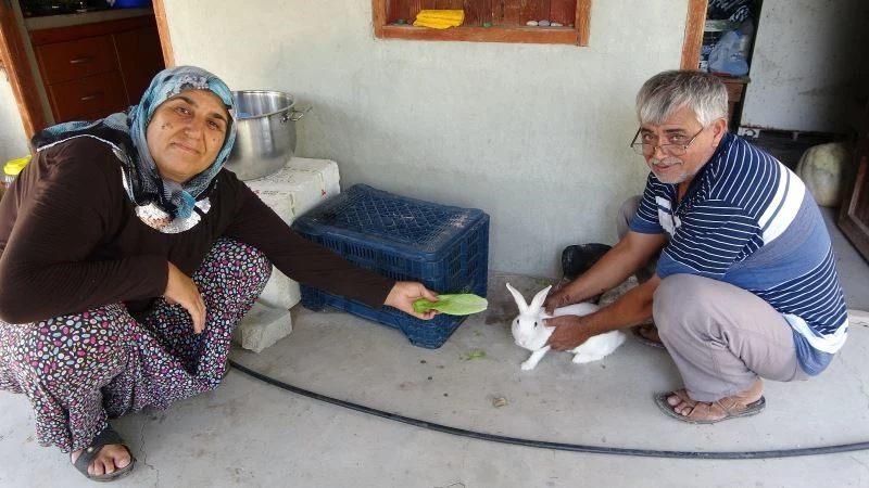 Alevlerden kurtulan ‘Pamuk’ tavşana gözleri gibi bakıyorlar
