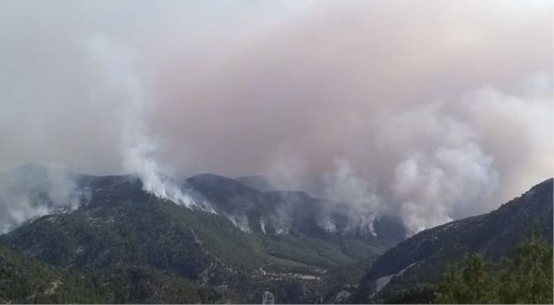 Akseki yangının şüphelisi, 20 hektar ormanın yandığı yangının da şüphelisi çıktı
