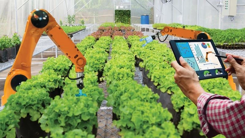 EGİAD Yönetim Kurulu Başkanı Yelkenbiçer: “Tarıma katkı sağlamak hepimizin bu ülkeye borcudur”
