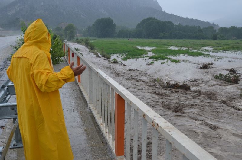 Kastamonu’nun Hanönü ilçesi Gökçeağaç köyünün Gökçeağaç çayının taşması sonucu ekili alanlar zarar gördü
