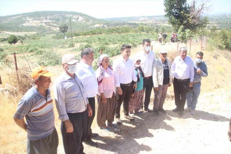 Gülnar’da kuş üzümü hasadı başladı