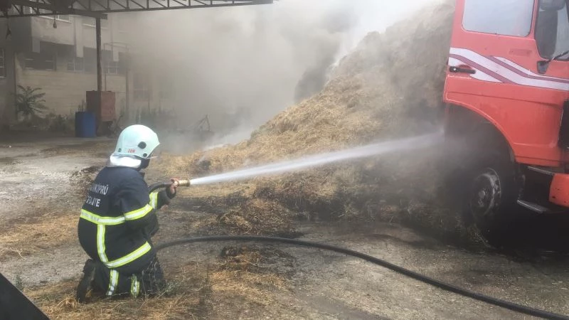 Park halindeki kamyonun kasasındaki samanlar yandı
