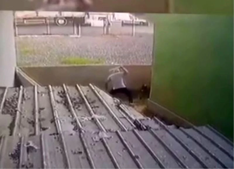 (Özel) Ataşehir’de gözü dönen saldırgan köpeği sopa ile dövdü
