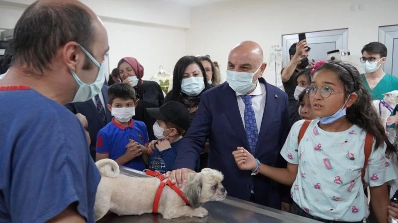 8 ayda 2 bin 765 sokak hayvanı tedavi edildi
