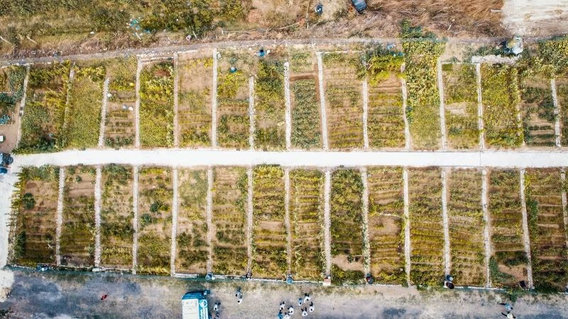 Büyükçekmece’de kent tarımı uygulaması mahallelere yayılıyor
