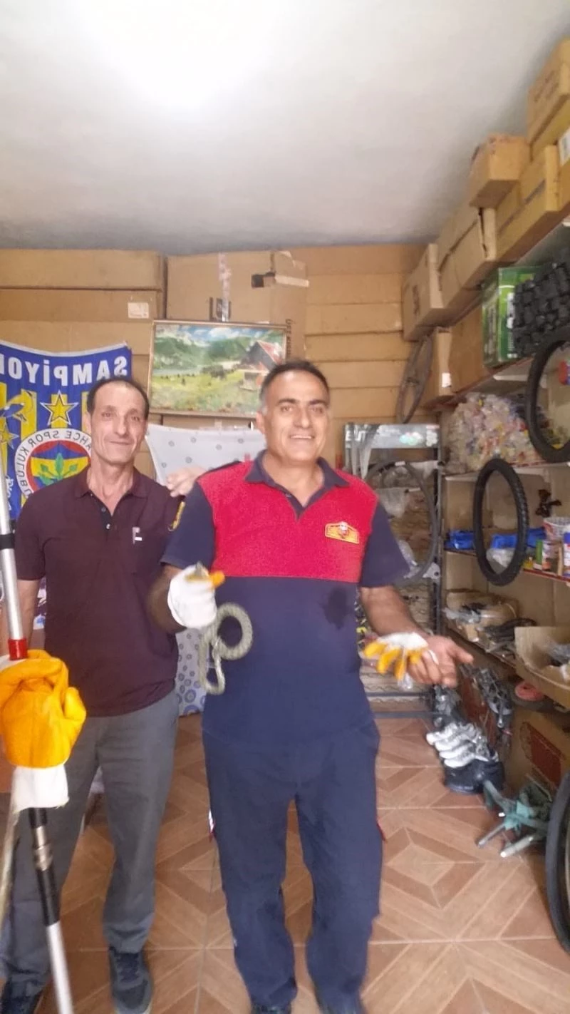 Iğdır’da bisikletçi dükkanına giren yılan korkuttu
