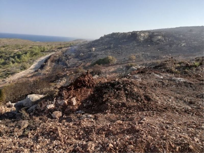 Çeşme’de, eski çöplükte yeniden çıkan yangının ardından sıkı önlemler planlandı
