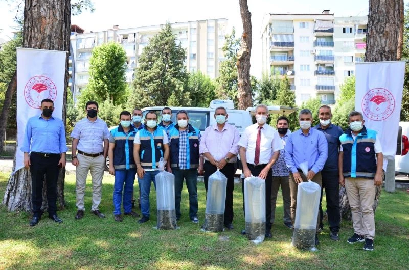 Denizli’de göllere 210 bin adet yavru sazan bırıkıldı

