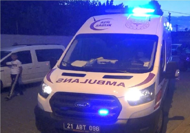 Diyarbakır’da hayvan otlatma kavgası: 2 ölü
