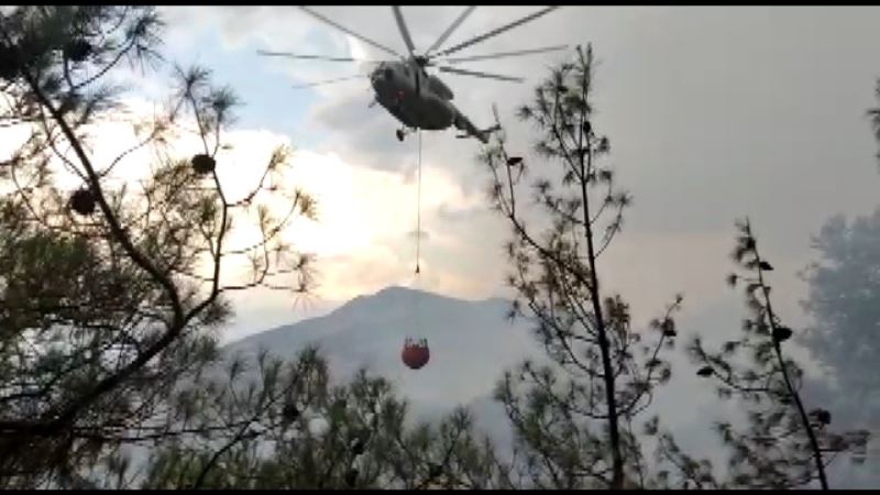 Kahramanmaraş’ta orman yangınında 3 hektar alan zarar gördü
