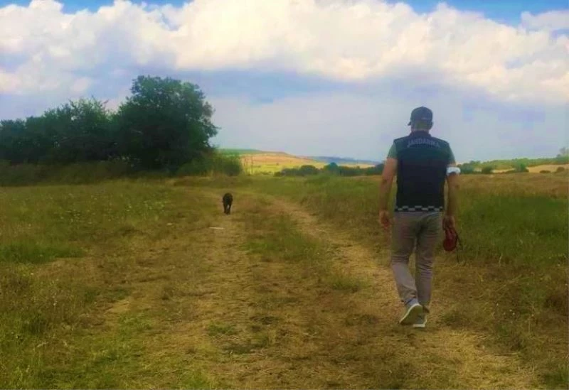 Tekirdağ’da kaybolan muhasebeci aranıyor
