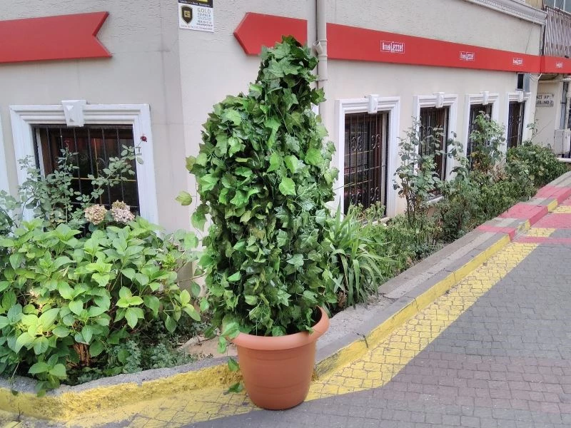 Çığlık attıran ağaç
